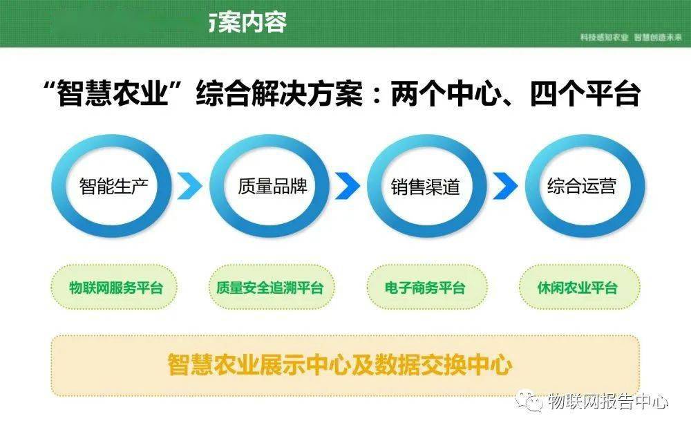2025澳门跟香港特马网站www999,详细解答，专家全面解释与落实与警惕虚假宣传