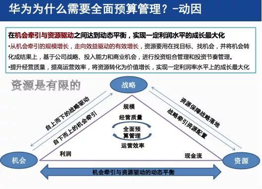 2025精准正版免费资料详细解答，专家全面解释与落实